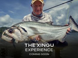 The Xingu Experience 
